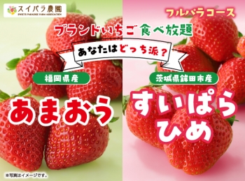 【4/10~】「あまおうorすいぱらひめ あなたはどっち派？」開催決定♪