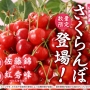 関東9店舗限定～国産さくらんぼ登場～ メロン・マンゴーに、さくらんぼも食べ放題の特別な3週間