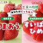 【4/10~】「あまおうorすいぱらひめ あなたはどっち派？」開催決定♪